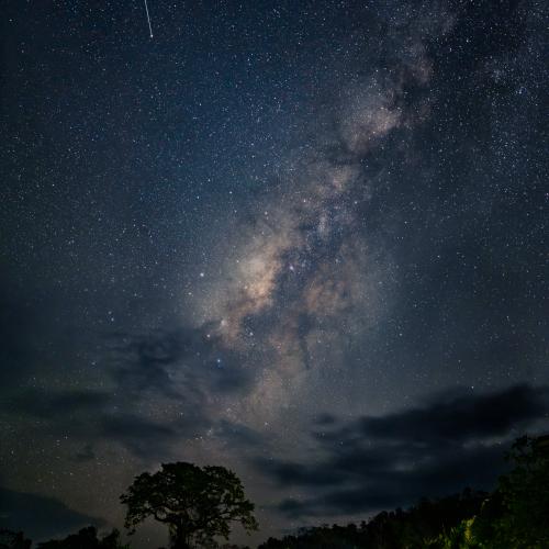 Sous les étoiles