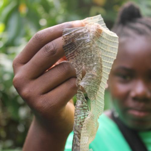 fete de la science Papaichton