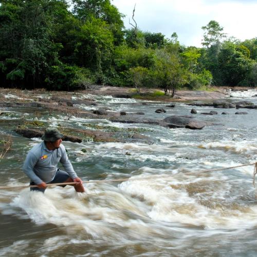 mission loutre et tapir