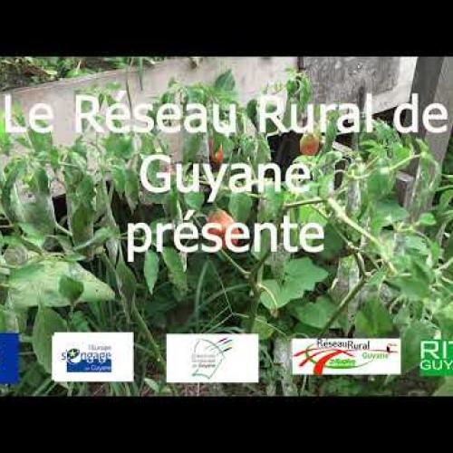 Groupe d'action locale du Sud Guyane - Réseau rural Guyane