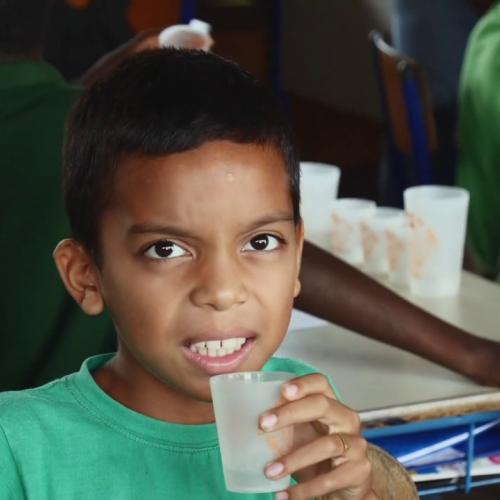 « Classes du goût : éveil sensoriel et alimentation durable en Guyane »